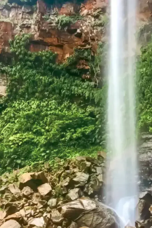 Tall waterfall cascading down a rocky cliff surrounded by lush green subtropical forest vegetation in Yanbaru, with moss-covered rocks at its base.
