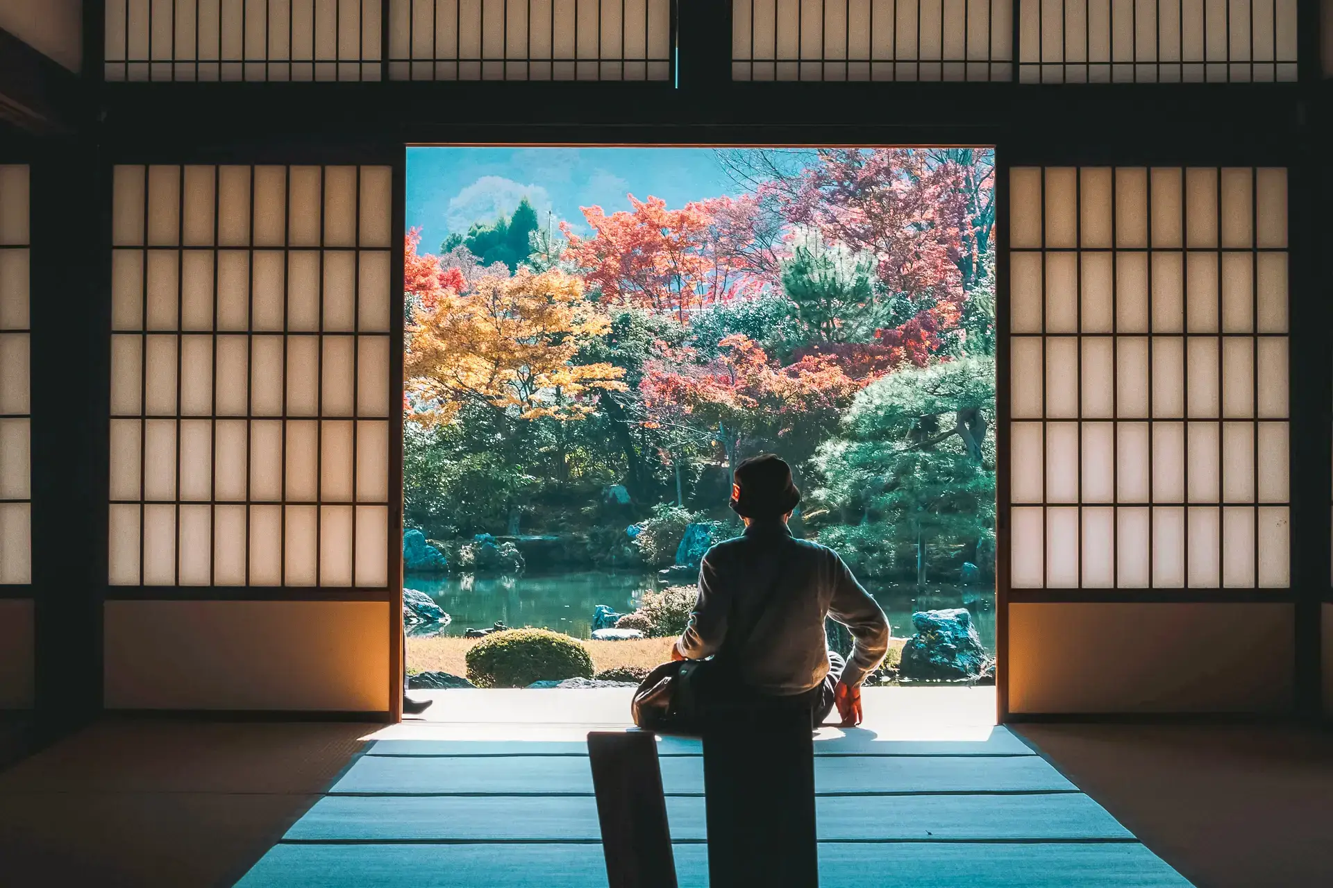 Person in traditional Japanese kimono sitting in meditation pose on tatami mat, viewing autumn foliage garden with colorful maple trees through open shoji screen doors.