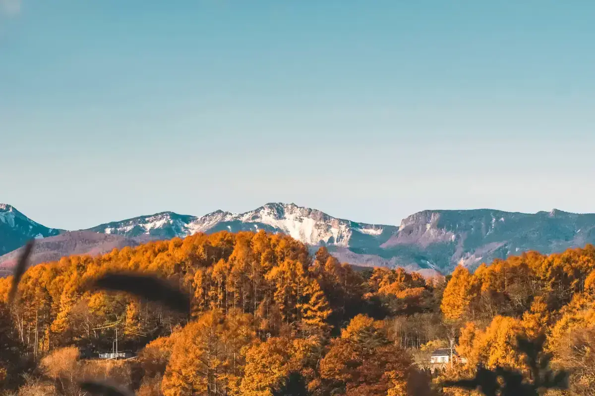 Yatsugatake mountain range with snow-capped peaks rising above vibrant autumn foliage in golden and orange hues during fall season.