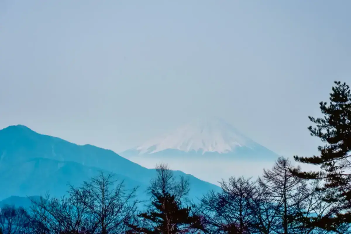Snow-capped Mount Fuji rises majestically in the distance beyond blue-toned mountain ranges and silhouetted trees in the foreground.