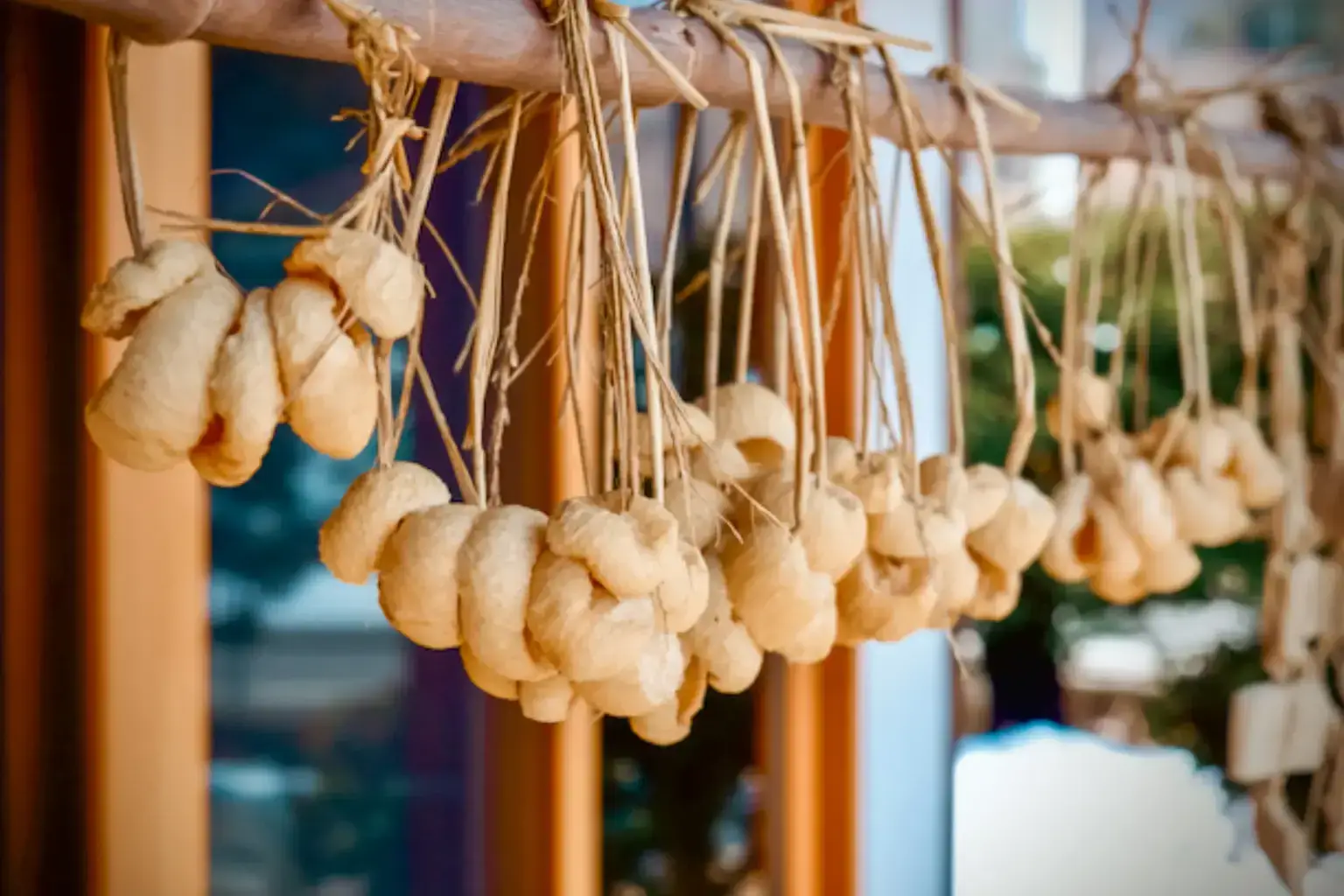 Fresh ginger root bundles hanging from natural fiber strings, showcasing traditional Japanese agricultural practices and local food culture.