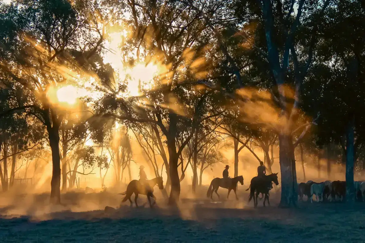 Horseback riders silhouetted against golden sunrise rays filtering through trees in a misty forest, creating a tranquil outdoor adventure scene.