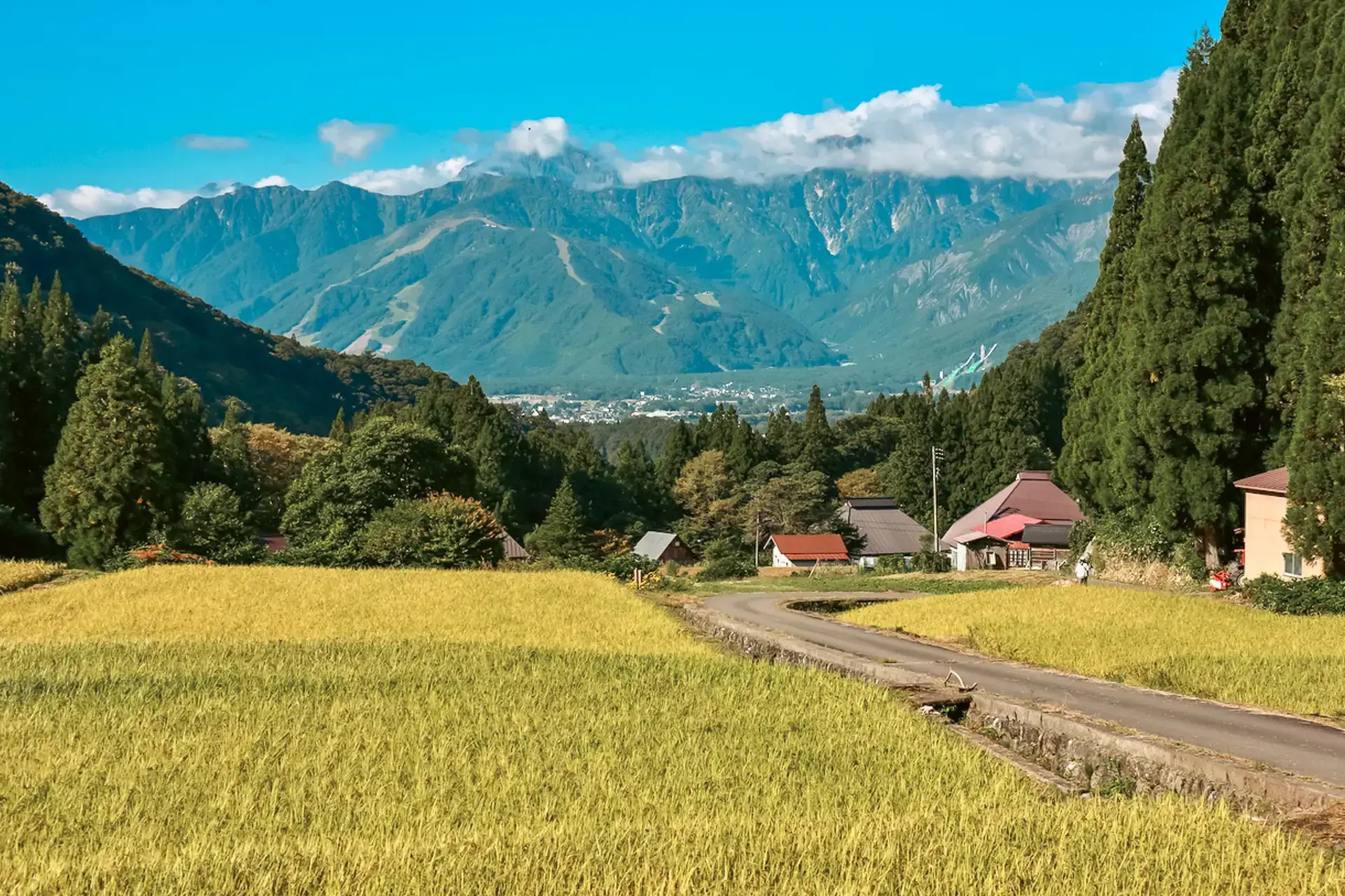 Golden rice fields in a rural Japanese village with traditional houses nestled against a backdrop of dramatic mountain ranges and blue sky.