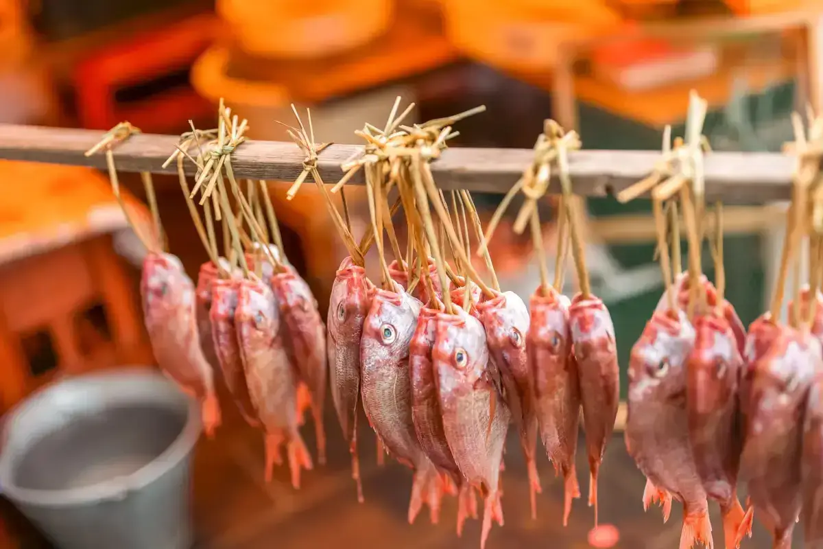 Fresh red snapper fish hanging on bamboo skewers at a Japanese fish market, displayed for sustainable sushi preparation.