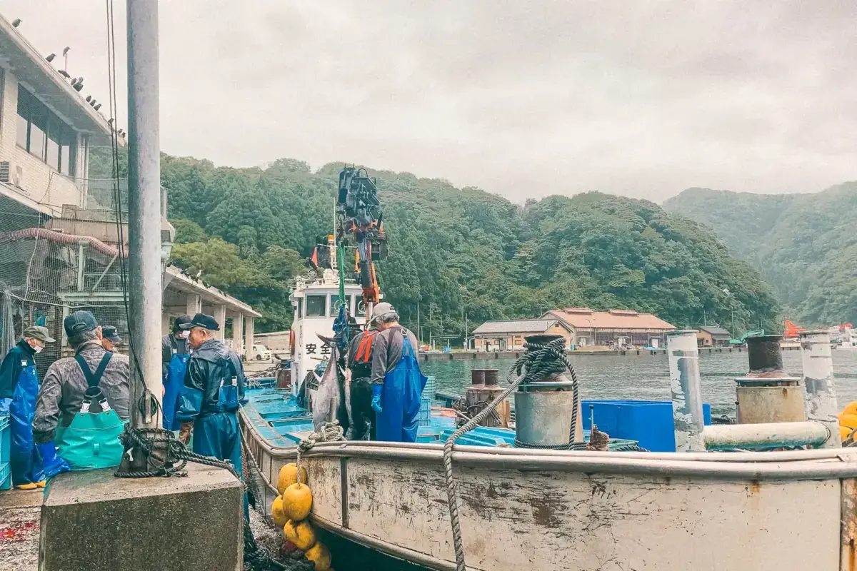 Japanese fishermen in blue workwear unloading their catch at a coastal harbor with mountains and traditional fishing village buildings in the background