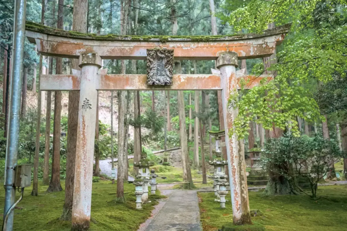 Weathered torii gate entrance to a Japanese shrine nestled in a lush forest with moss-covered grounds and traditional stone lanterns along the pathway.