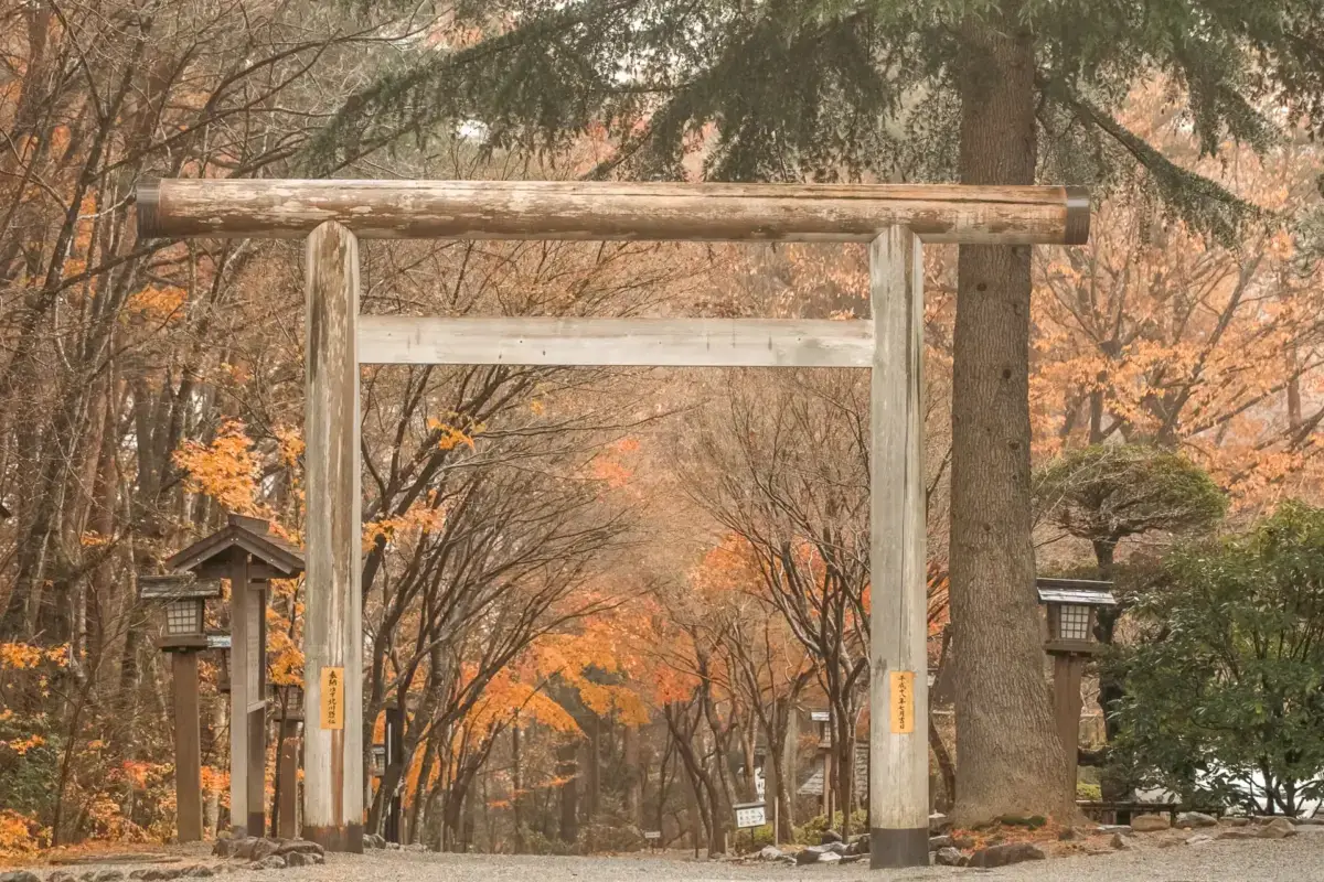 Traditional Japanese torii gate entrance framing a tree-lined pathway with vibrant autumn foliage in shades of orange and gold.