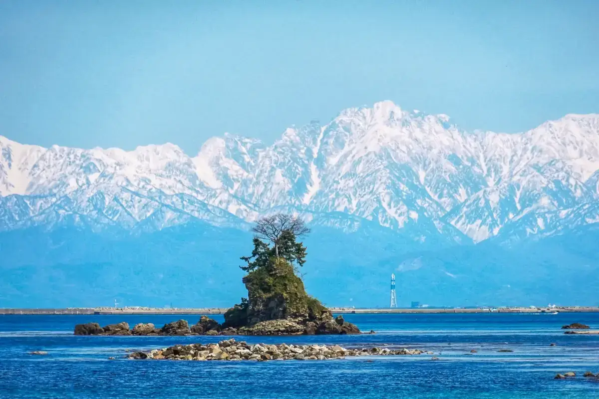 Rocky island with pine trees in calm blue waters, backed by snow-capped Japanese Alps mountain range under clear sky.