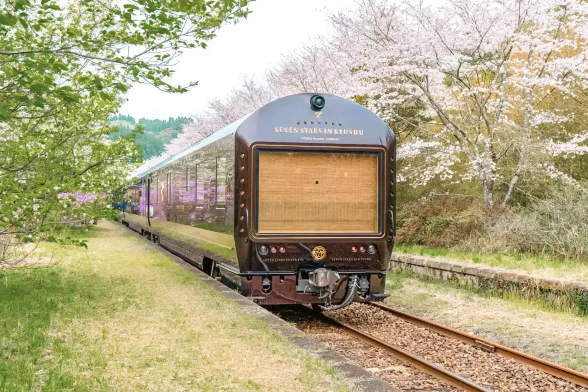 Luxury sightseeing train traveling through Japanese countryside lined with cherry blossom trees in spring, featuring elegant wooden and maroon exterior design.