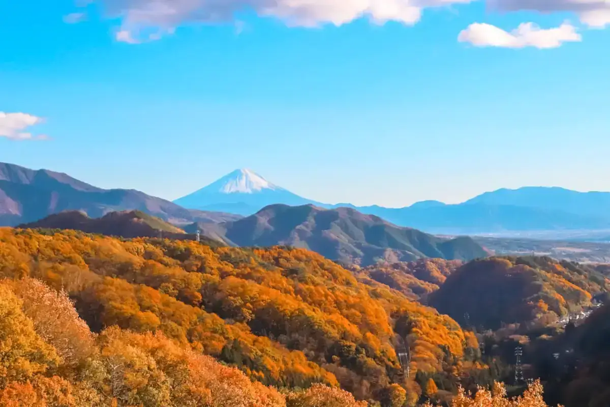 Snow-capped Mount Fuji rises majestically in the distance beyond rolling mountains covered in vibrant autumn foliage under a clear blue sky.