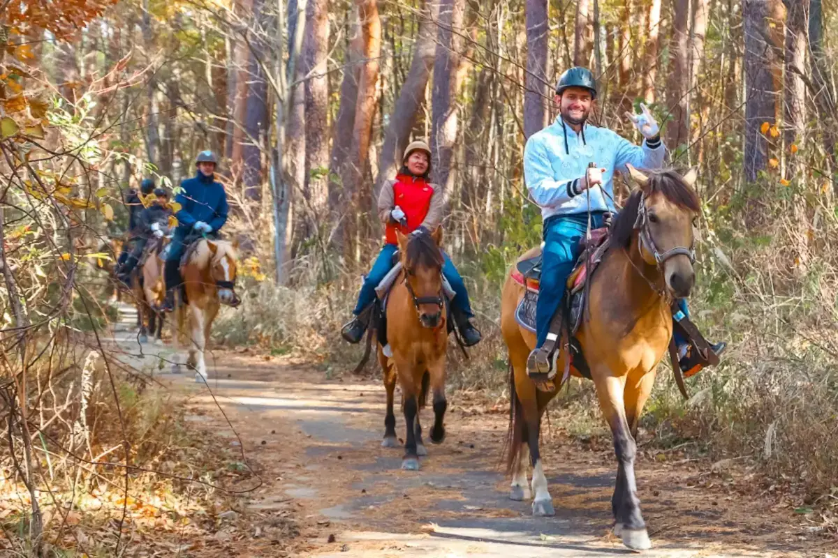 Group of people horseback riding on a scenic forest trail in autumn with sunlight filtering through the trees
