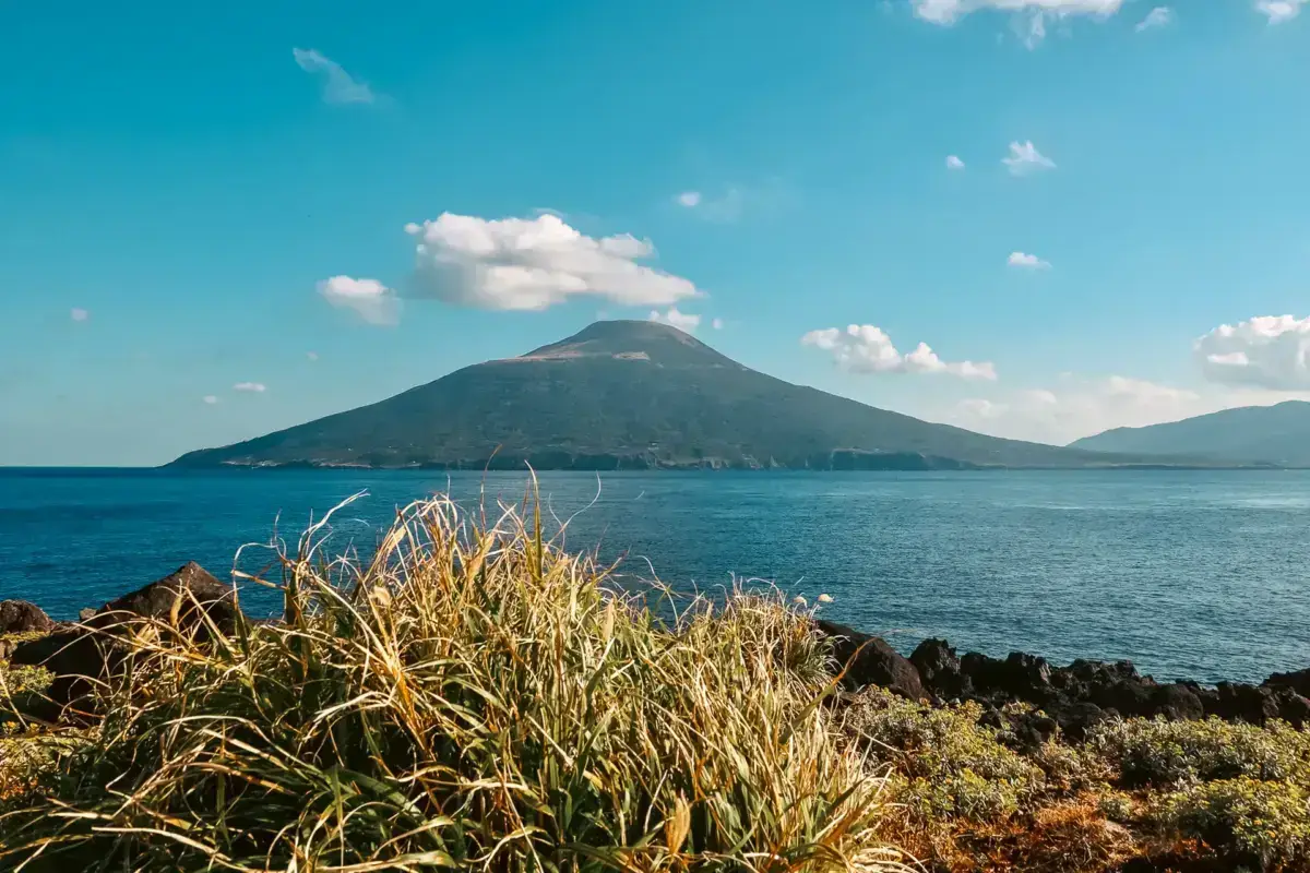 Volcanic Mount Hachijo rising from the turquoise ocean waters of Hachijojima Island, framed by golden coastal grasses and rocky shoreline under a bright blue sky.