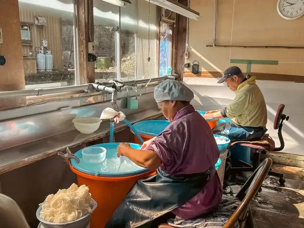 Two workers in traditional Japanese clothing washing and rinsing fresh noodles in large blue basins at a traditional noodle-making workshop in the Hokuriku region.