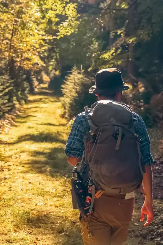 Hiker with backpack and camera walking through sunlit forest trail in Teshikaga, Hokkaido, with golden autumn foliage illuminated by rays of light.