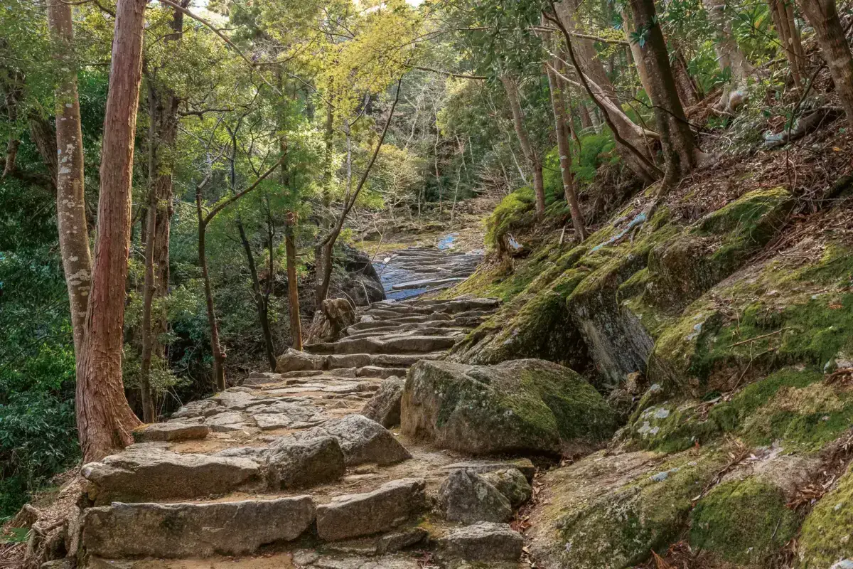 Ancient stone pathway winding through a lush Japanese forest, with moss-covered rocks and tall trees creating a serene woodland atmosphere.