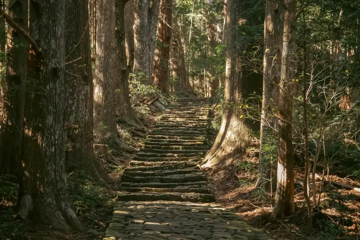 Ancient stone stairway ascending through a dense Japanese cedar forest, with dappled sunlight filtering through the tall trees along a historic pilgrimage path.