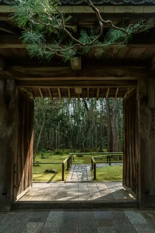Traditional wooden Japanese temple gate framing a serene zen garden with moss-covered ground, stone pathways, and bamboo grove beyond, with pine branches hanging over the weathered roof tiles.